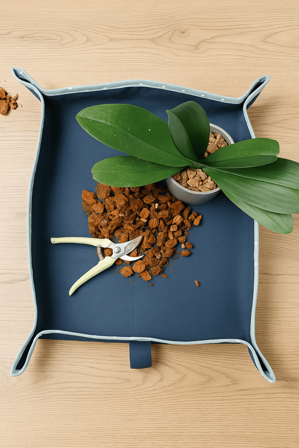 Kit de resiembra para Orquídeas