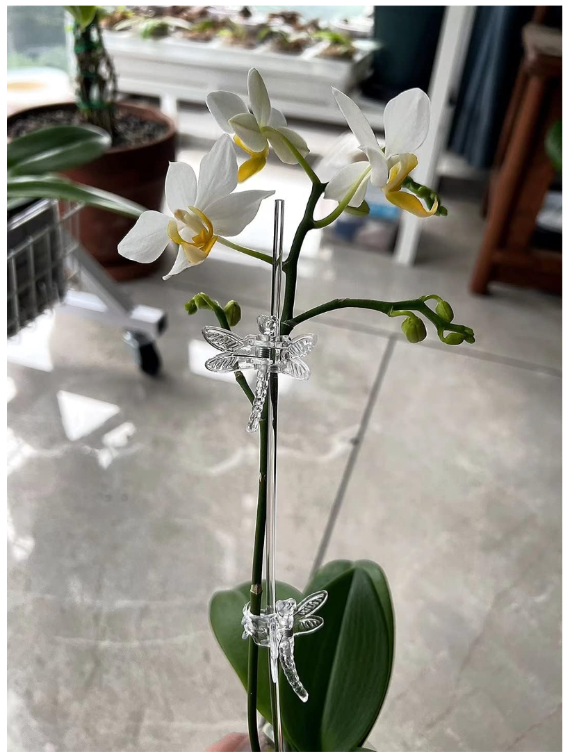 Pack de 2 Tutores para Orquídea y 4 libélulas