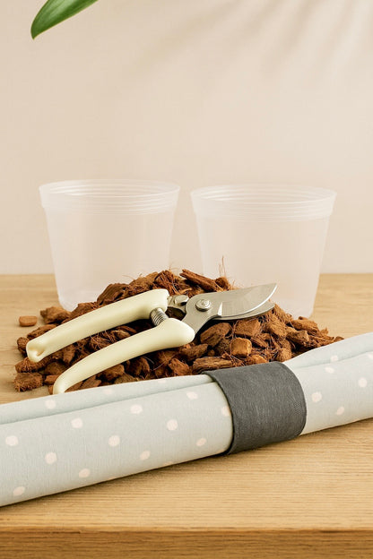 Kit de resiembra para Orquídeas