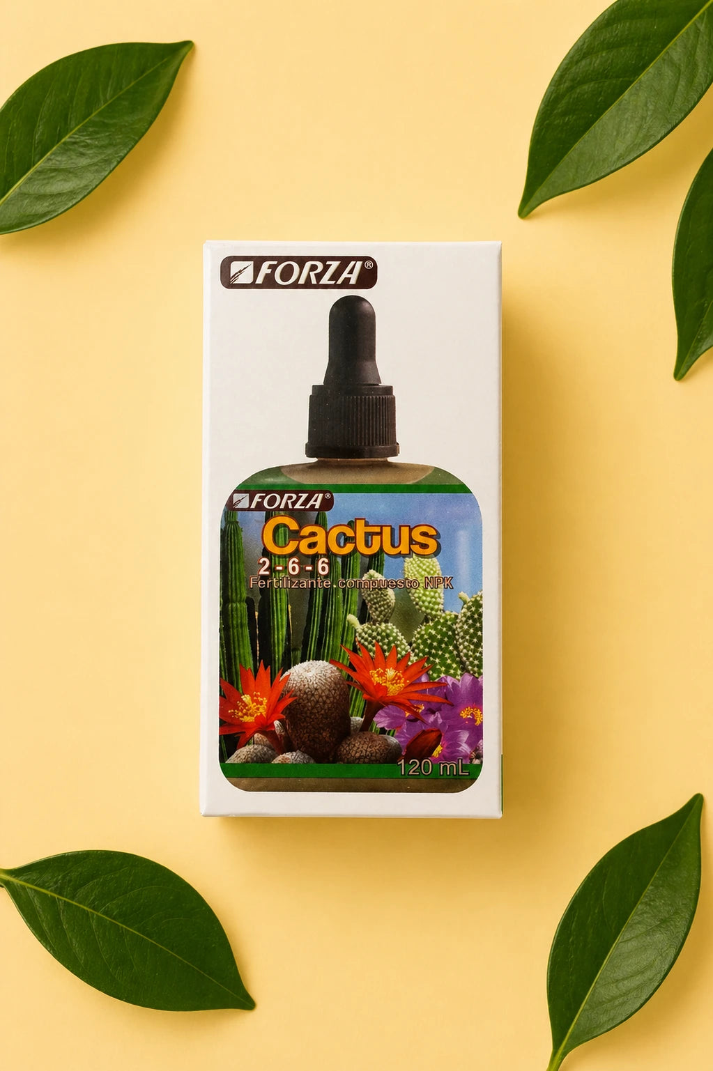 Fertilizante para Cactus