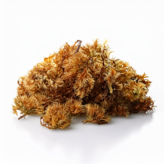 Musgo Sphagnum 600 gramos