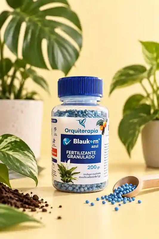 Blaukorn Azul - plantas terrestres