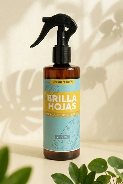 Brilla Hojas Orquiterapia 250 ml (Nuevo tamaño) - Orquiterapia