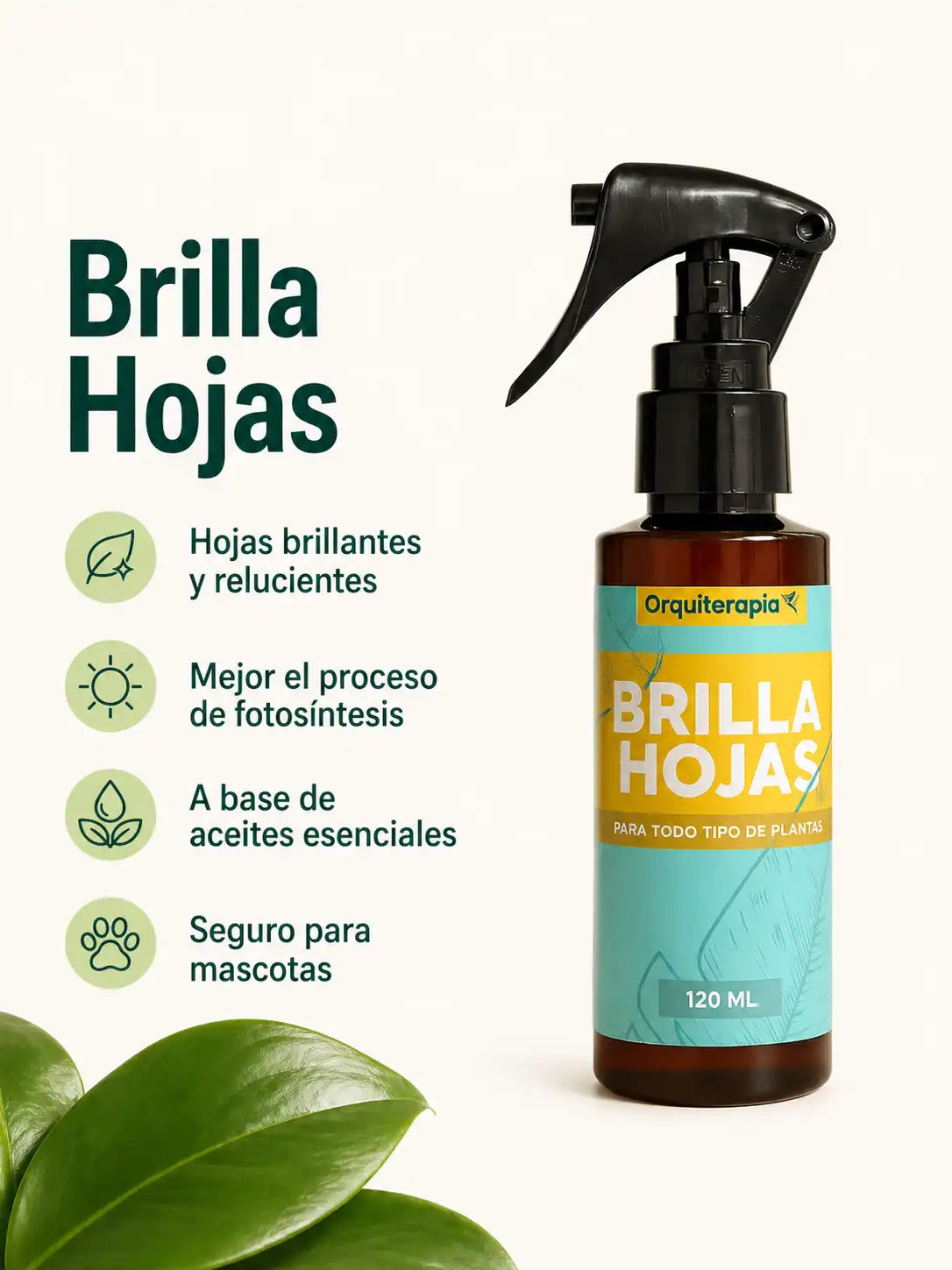 KIT práctico de cuidado para Orquídeas