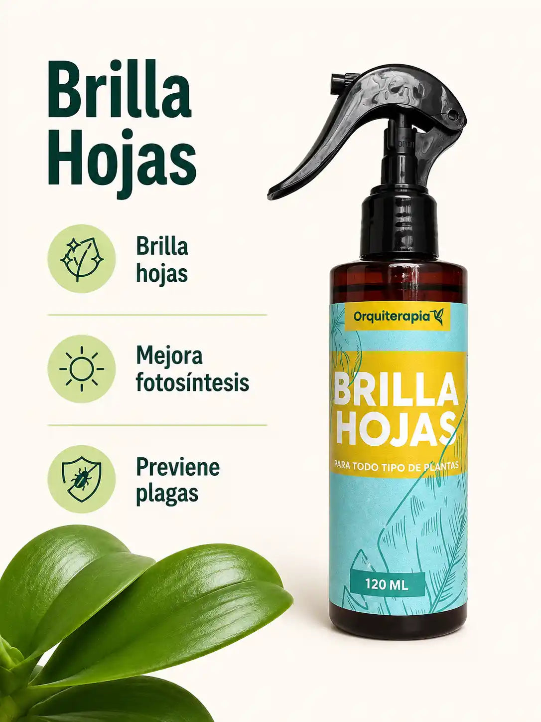 KIT de cuidado para Orquídeas
