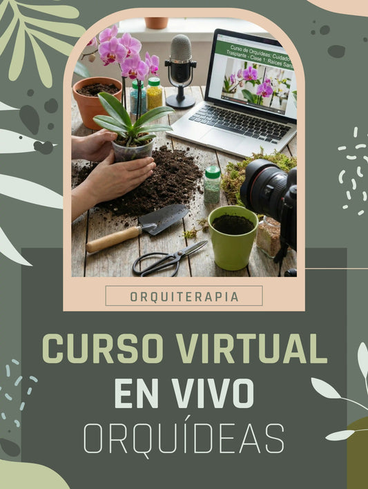 Curso Virtual en VIVO de Orquídeas phalaenopsis + KIT - Orquiterapia