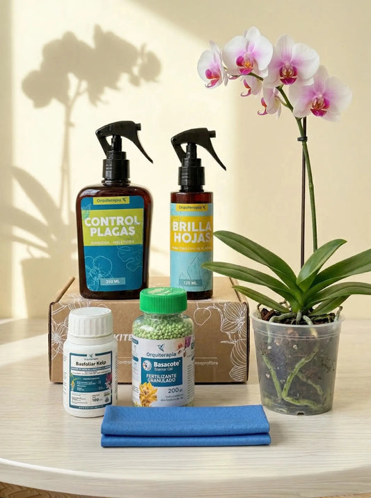 KIT práctico de cuidado para Orquídeas - Orquiterapia