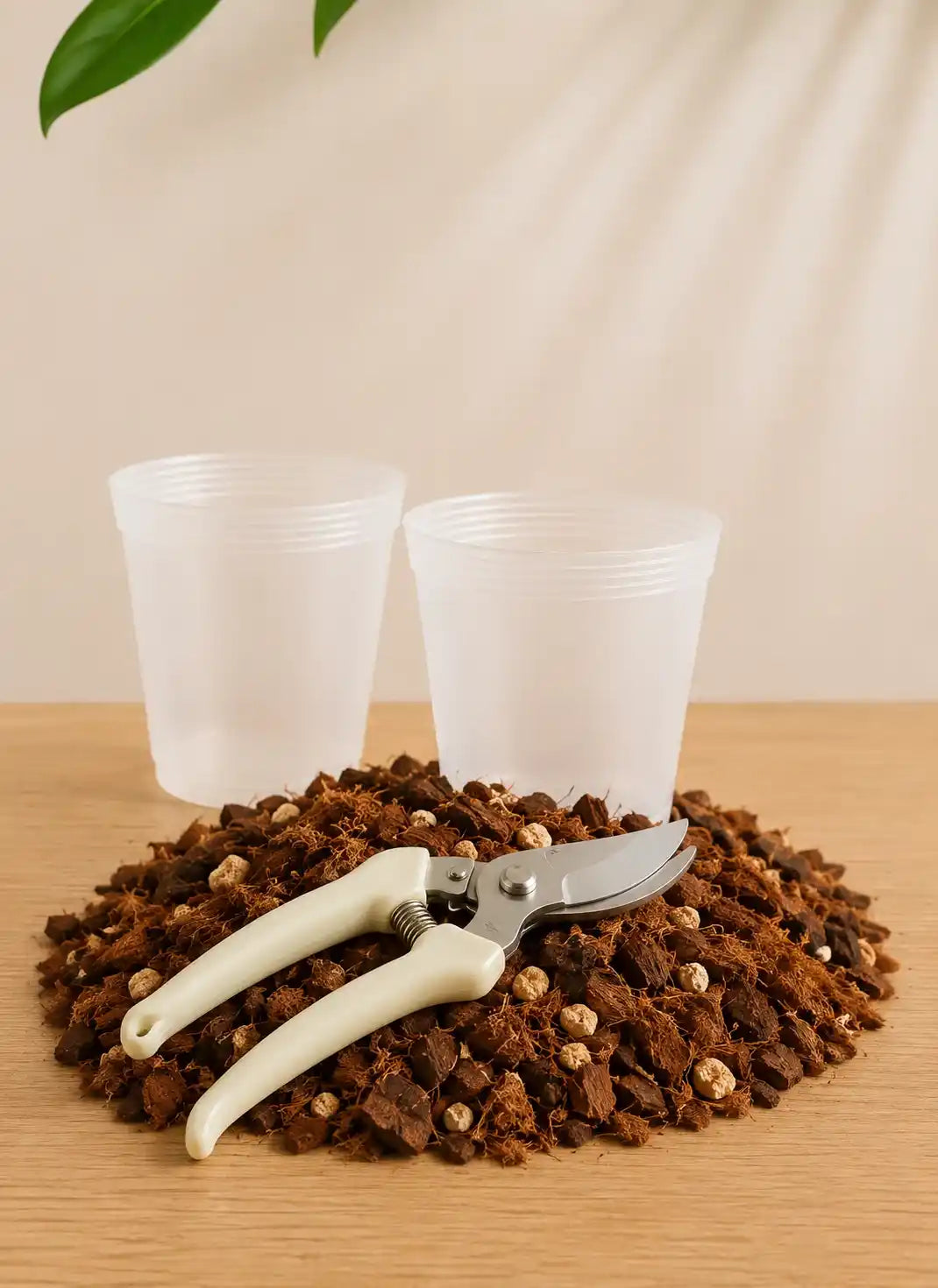 Kit de resiembra para Orquídeas