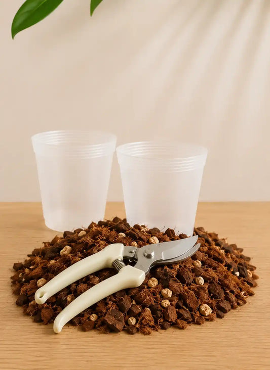 Kit de resiembra para Orquídeas