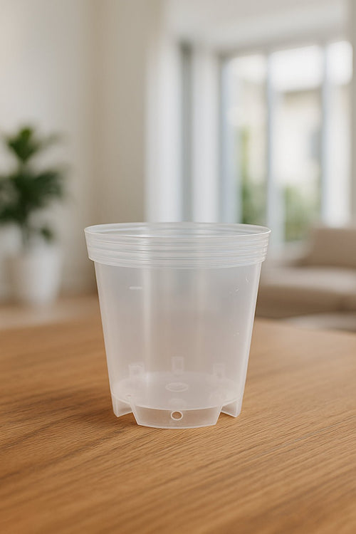 Materas transparentes para Orquídeas - Orquiterapia