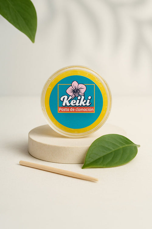 Pasta Keiki para clonar Orquídeas - Orquiterapia