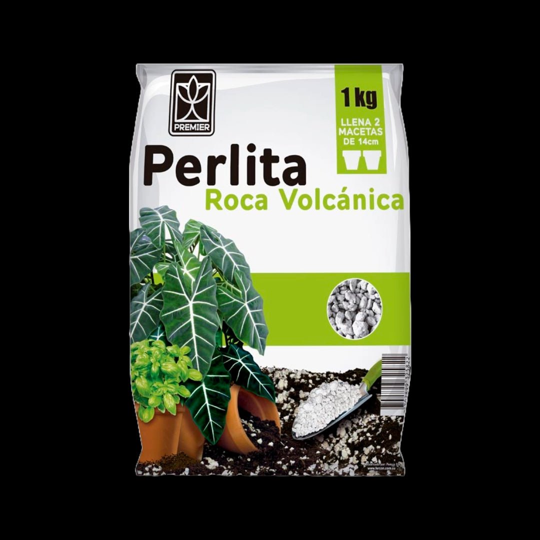 Piedra perlita x 1kg - Orquiterapia