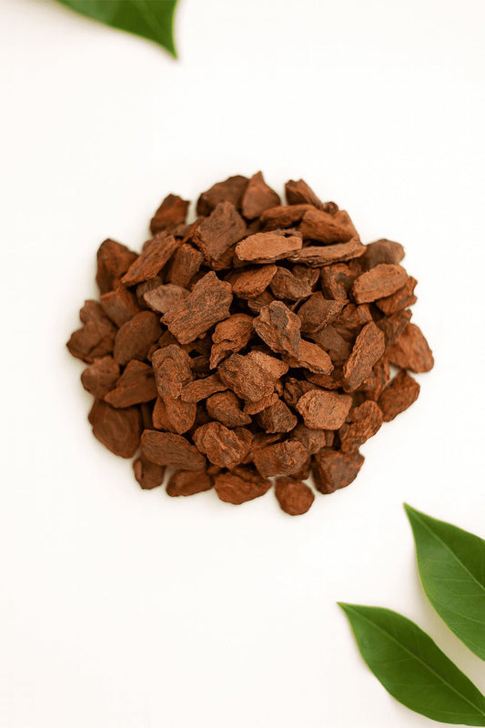 Pino Pátula 600gr - Orquiterapia