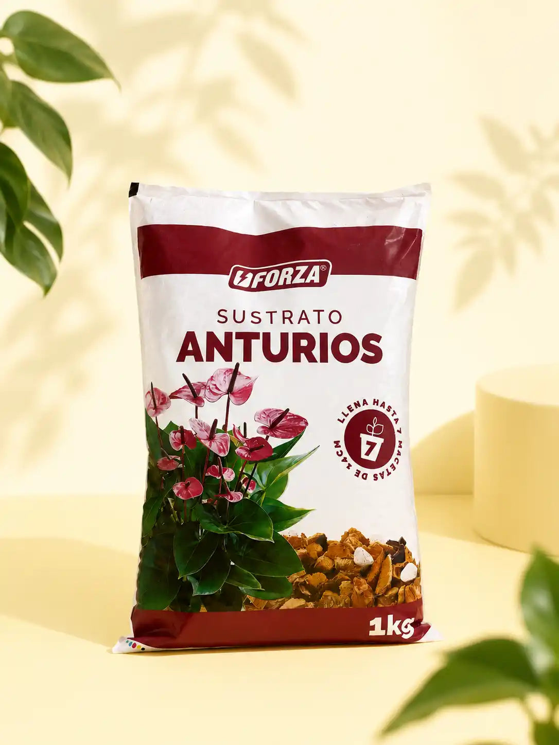Sustrato para anturios