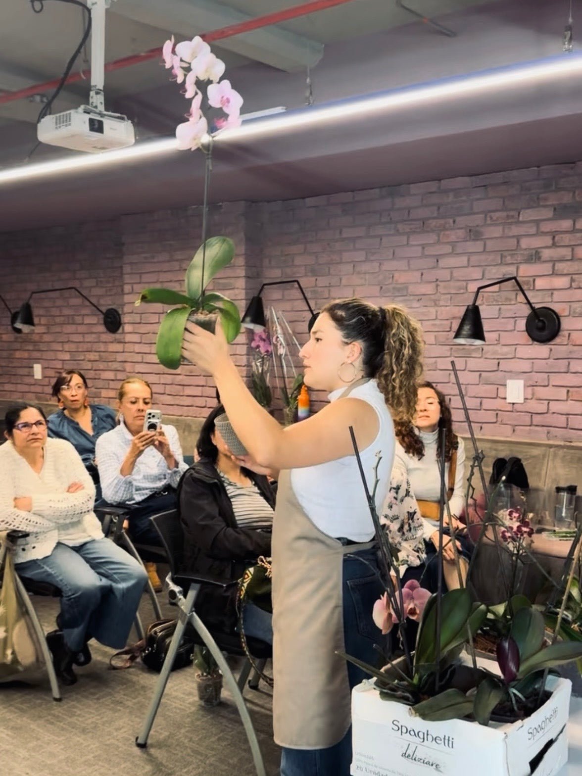 Taller de Orquídeas Phalaenopsis - Orquiterapia