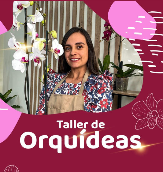 Taller de Orquídeas Phalaenopsis - Orquiterapia
