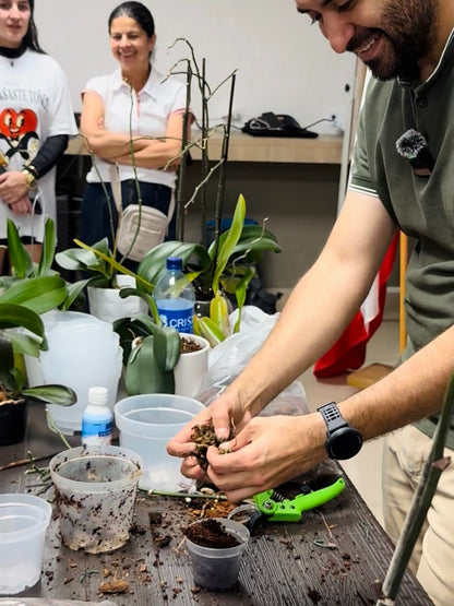 Taller de Orquídeas Phalaenopsis - Orquiterapia