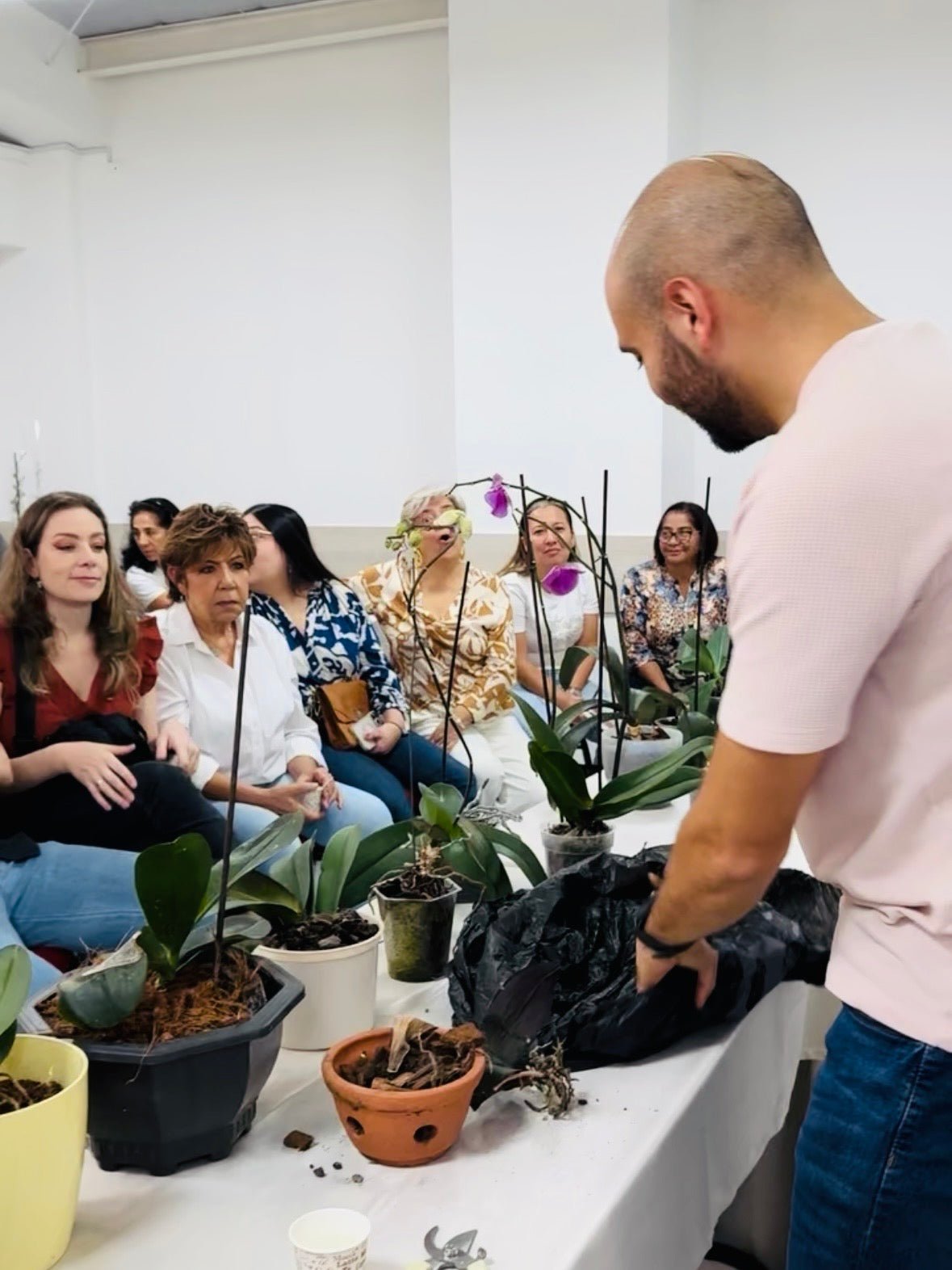 Taller de Orquídeas Phalaenopsis - Orquiterapia