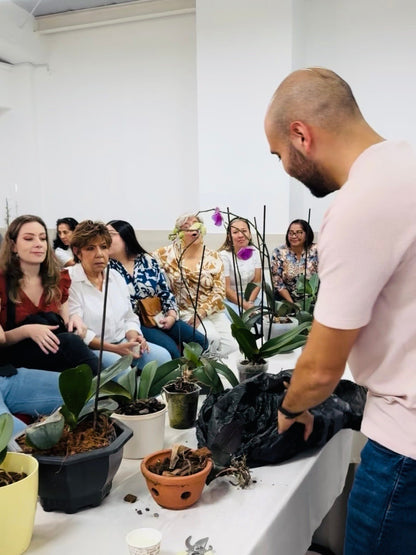 Taller de Orquídeas Phalaenopsis - Orquiterapia